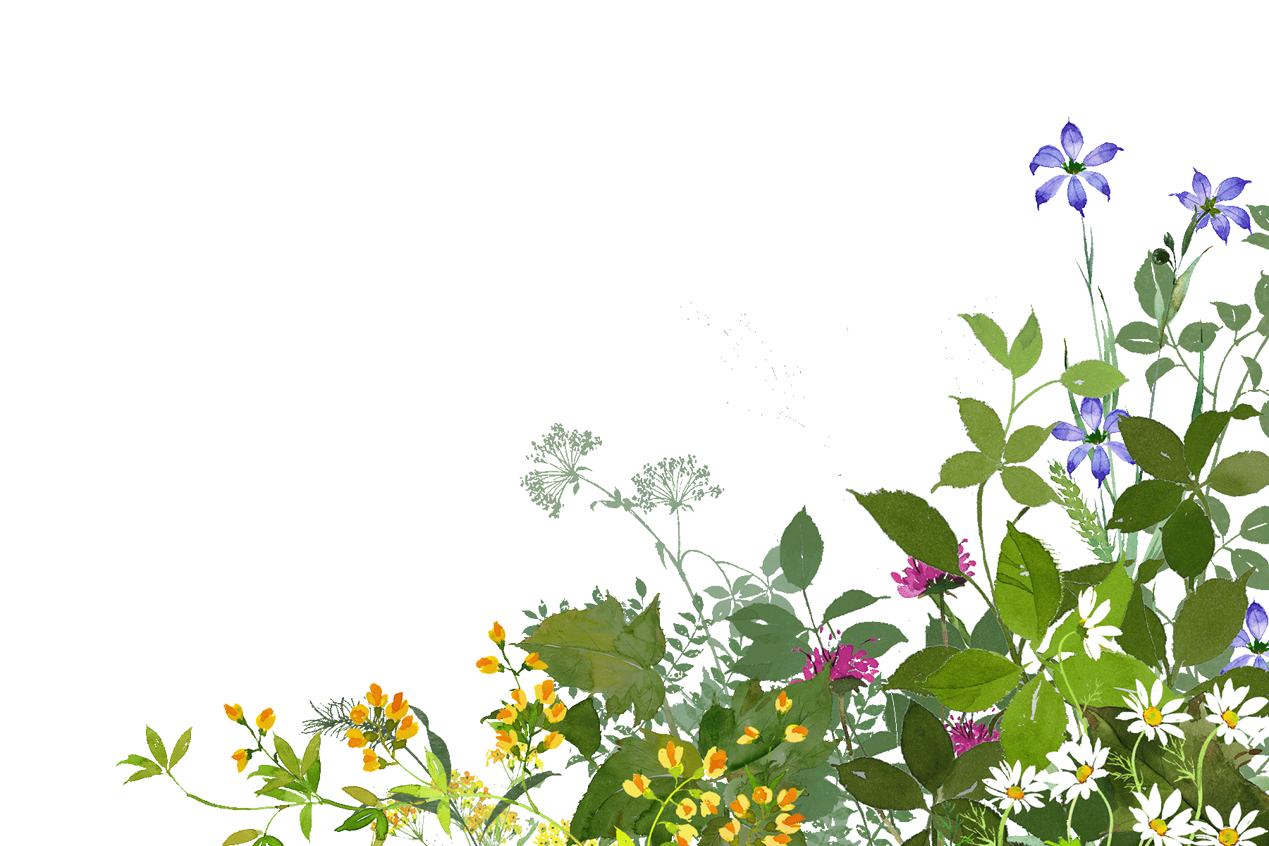 RanaFlower ラーナフラワーあしらい